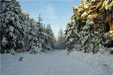 《无人深空》本月人气飙升 玩家：你才是真正的星空